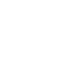 VS Mani & Co