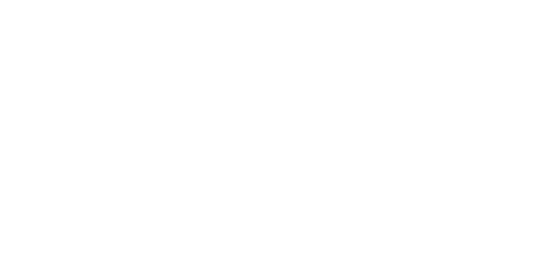 PM Cona